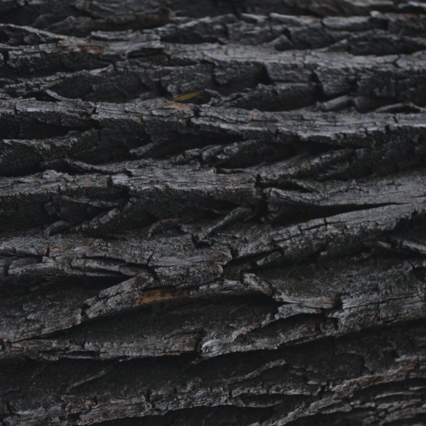 Koniec produkcji łupka mozolskiego